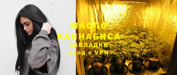 прущий лед Вяземский