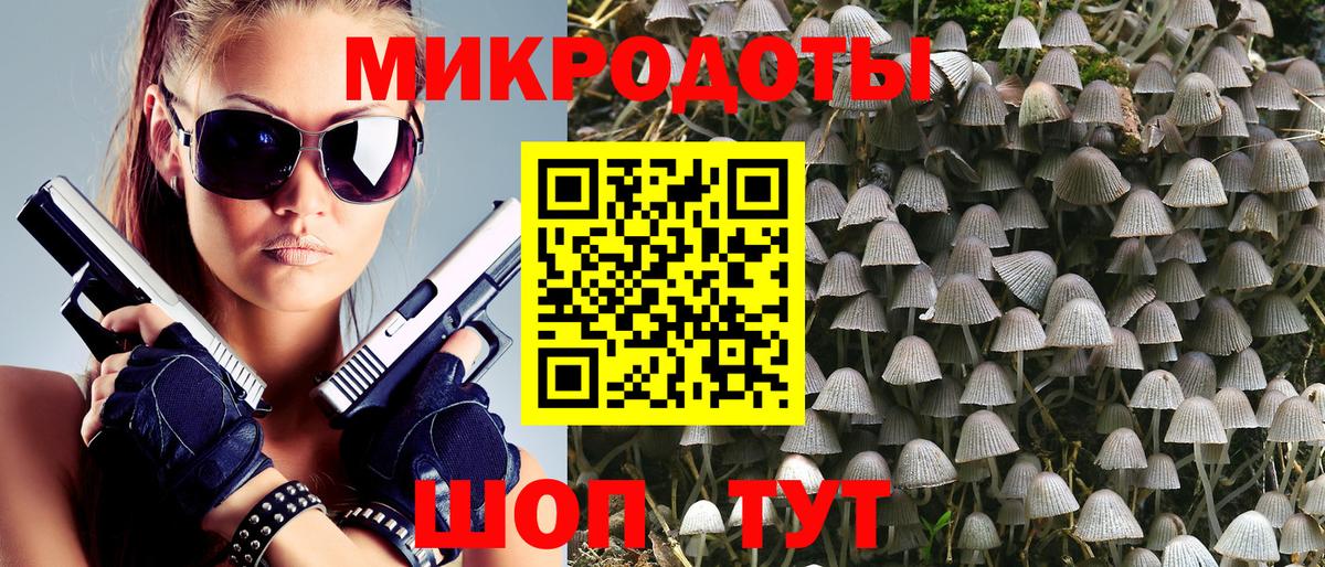 Галлюциногенные грибы Cubensis Махачкала